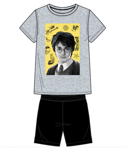 Ensemble Harry potter